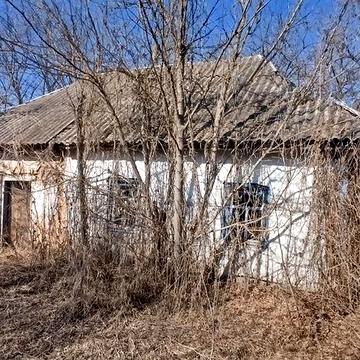 Продам будинок (участок), поруч ліс
