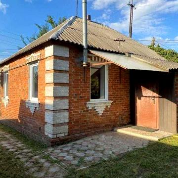 Продам будинок с. Новоселівка Богодухівський район (169134)
