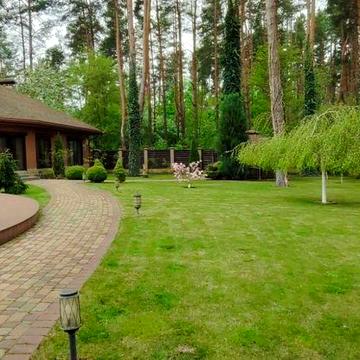 Оренда затишного будинку в селі Білогородка в лісу