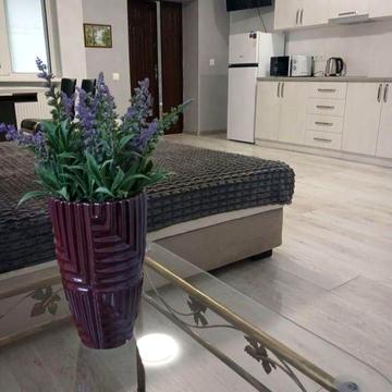 Оренда 1-кімнатної квартири, Ювілейний