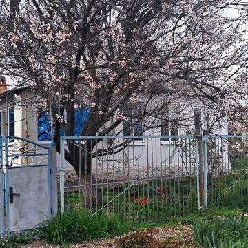 Продається будинок