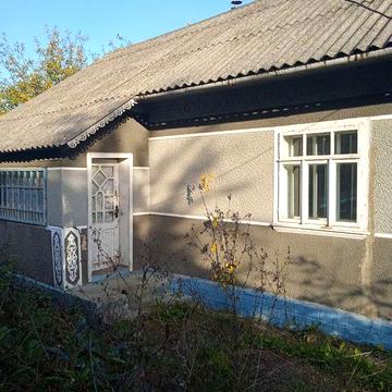 Будинок в селі біля  лісу