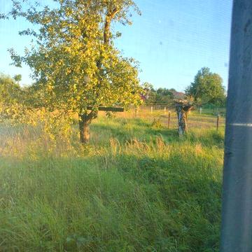 Продаж частини будинку