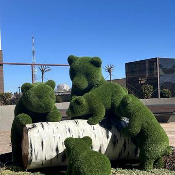 1- ком Кадор на Краснова 63 Жемчужина , во двор