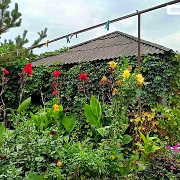 Продаж 4к Дім Чумацька (Калініна) вулиця