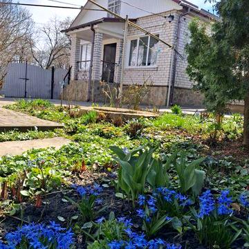 Будинок в центрі міста