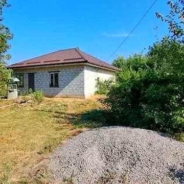 Приватний дім у селищі Петриківка