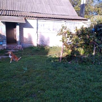 Продається будинок в селі Терешківка Сумської області