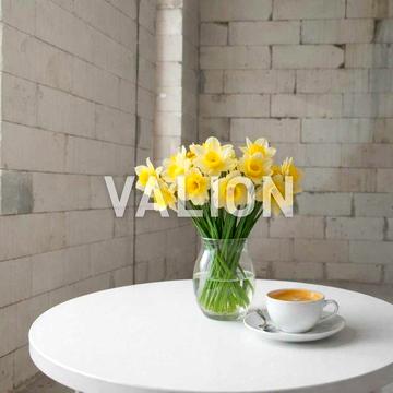 БЕЗ%Продається 1-кімнатна квартира 40м2, вул. Чехова 15, Бортничі, метро Бориспільська