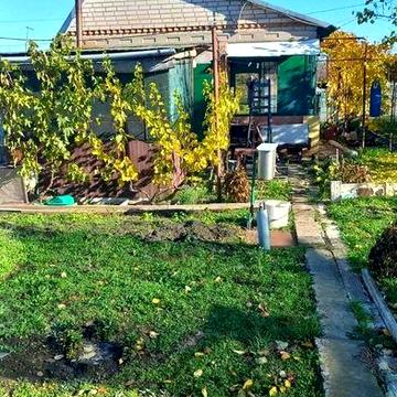 ПРОДАМ! Дачу  в селі НовоІванівка в дачному кооперативі  Коломийське