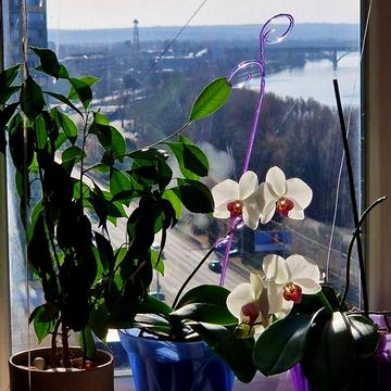 Продаж 3к Квартира Сонячна Набережна (Малиновського Маршала) вулиця