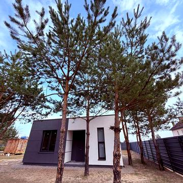 Будинок цегляний біля Києва серед сосен, 67м2, єОселя. держпрограми, Без комісії