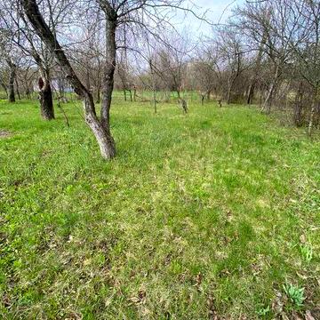 Продам дачу в мальовничому місці, 6 соток, рівна ділянка, садок