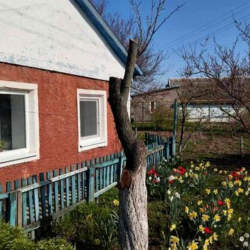 Продам будинок в центрі Музиківки