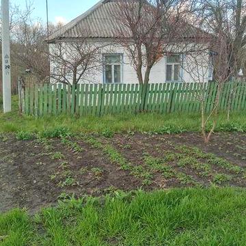 Будинок в селі з мебелю