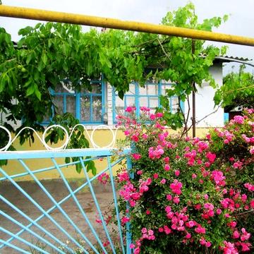 Продам будинок в селі