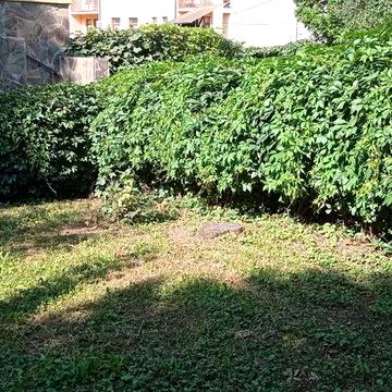 3-кімнатна квартира (півособняка) в центрі