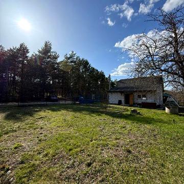 Дача з прямим виходом в ліс