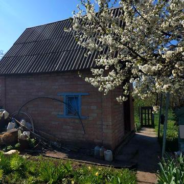 Продаю дачу в Иегрелецкрму раене