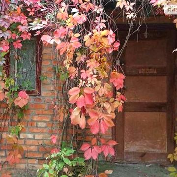 Продаж 3к Дім вулиця Молодіжна