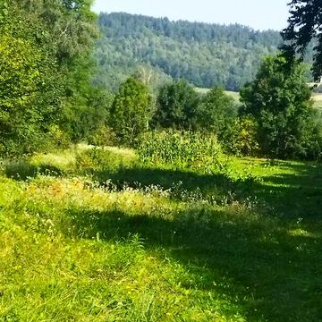 Продаж 5к Дім Підгірна