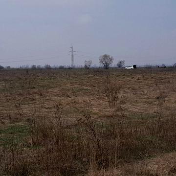 Зазимя, Броварський, Київська область 25500.0 USD