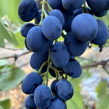 Продаж 1к Дім Креміно вулиця