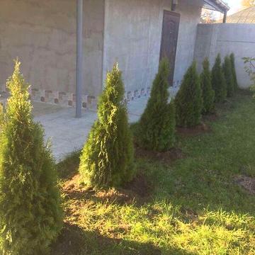 Продаж 4к Дім Торгова (Луначарського) вулиця