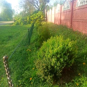 Продаж 5к Дім Крута вулиця