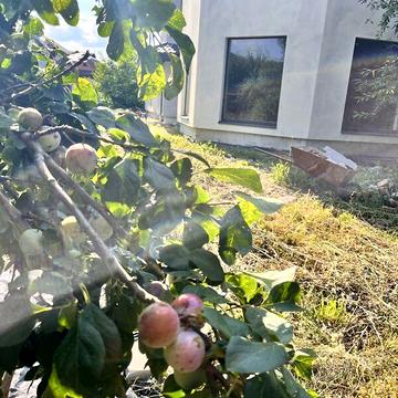 Продаж 6к Дім Монастирська вулиця