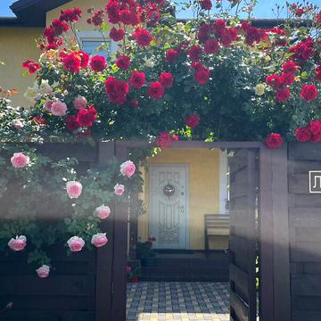 Продаж 5к Дім Лебедина вулиця ЖК Новая Александровка