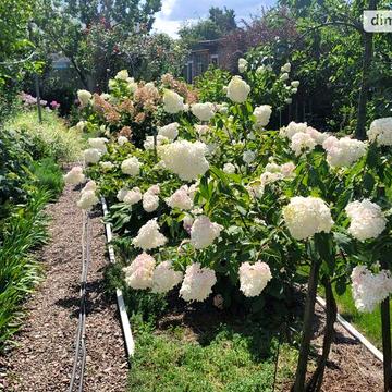 Продаж 6к Дім 1-го Травня вулиця