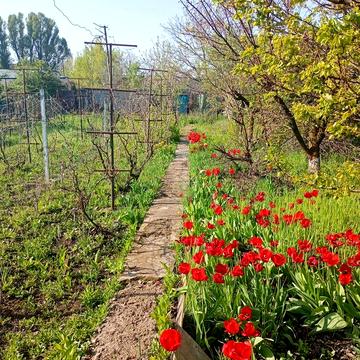 Продам дачу в місті. Обмін
