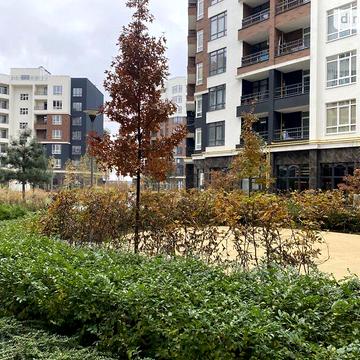 Продаж 1к Квартира Кобилянської Ольги вулиця ЖК Синергия Сити