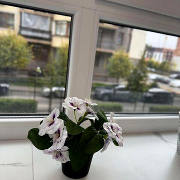 Продаж 1к Квартира Миколи Сингаївського (Новооскольська) вулиця ЖК Бургундия