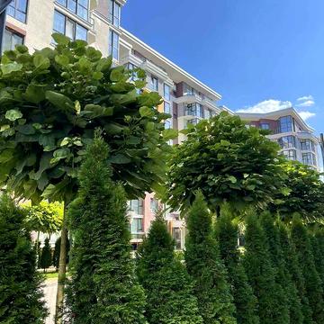 Продаж 1к Квартира Прорізна вулиця ЖК На Прорезной