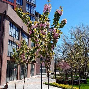 Продаж 1к Квартира Академіка Філатова вулиця ЖК Manhattan