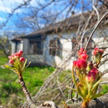 Продам участок с. Подгорное