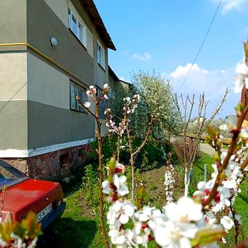 Продаж 2к квартири у центрі  міста з гаражем 30м2 і господарськими приміщеннями