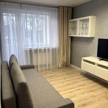 Здам 1-кімнатну квартиру в центрі