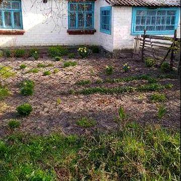 Продаж будинку в с Вишеньки