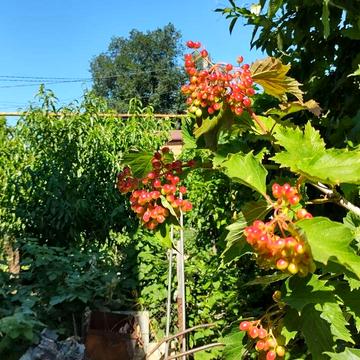 Академіка Гаркавого вул. (Житомирська)