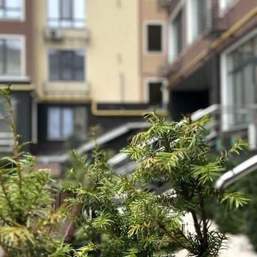 Аренда. Первая сдача. Полуботка 36.