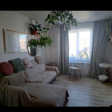 Квартира, перемога, кітайка