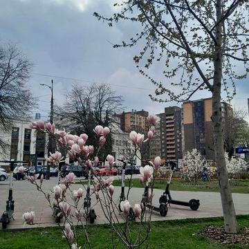 2к.кв  Новий ремонт! Новобудова в самому Центрі! ЖК РЕЗИДЕНЦІЯ
