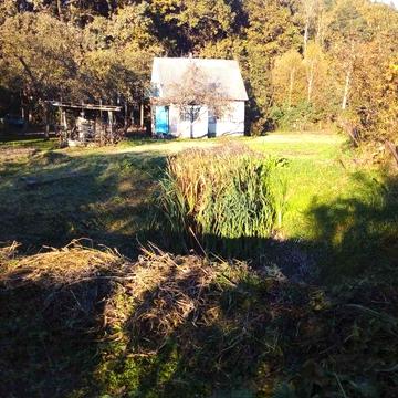 Мальовнича дача 16 соток понад лісом (біля лісництва)