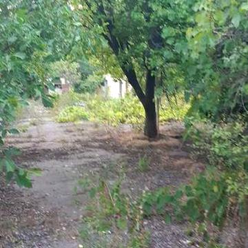 Будинок оренда Дом аренда с. Рацево Чигирин для сімї з дітьми або чоловіка  до 3-х місяців.