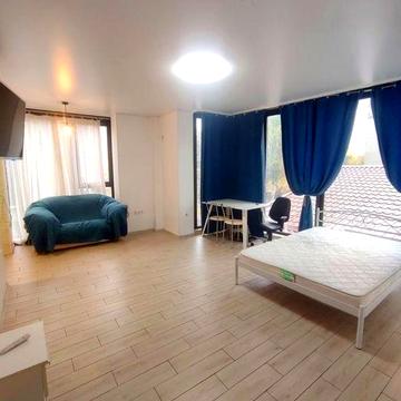 Аренда 1-к просторной квартиры в центральной части города/Нагорка/А.Олега Петрова/Чернышевского/Новострой/Клубный дом