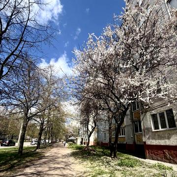 Сдается 1-но комнатная квартира по ул. Пухова