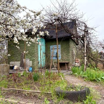 Продам дачу з садом та ділянкою